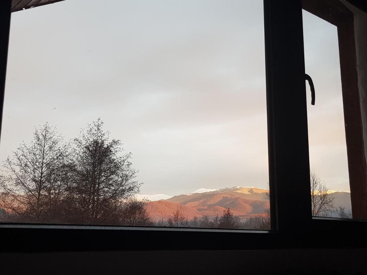 Satu Muscelean Hotell Albestii de Muscel Exteriör bild